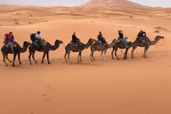 6-Day Private Tour From Casablanca to Marrakech - Inclusions and Amenities