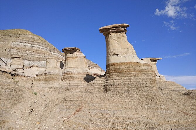 6 Day Summer Rockies Visit Banff Jasper Yoho and Drumheller Tour - Tour Conditions and Requirements
