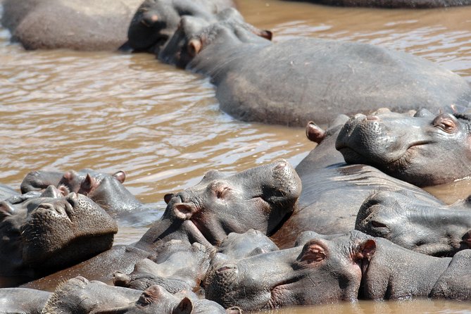 6 Days Maasai Mara/Nakuru/Amboseli Group Safari - Inclusions and Exclusions