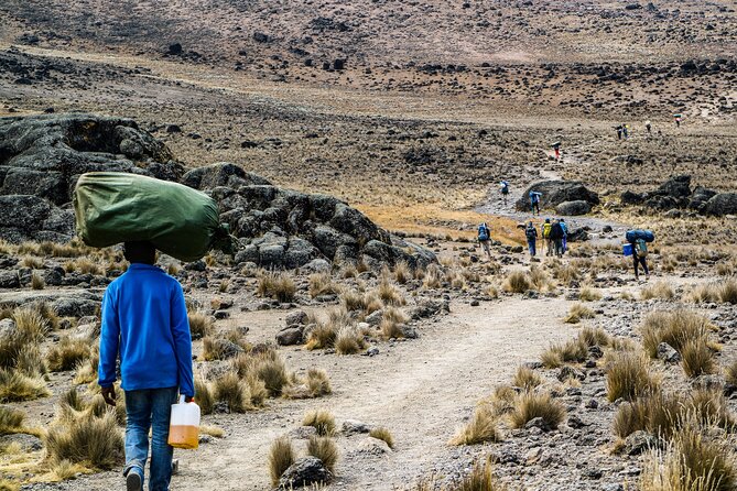 6 Days Mount Kilimanjaro Climbing via Rongai Route - Safety and Accessibility