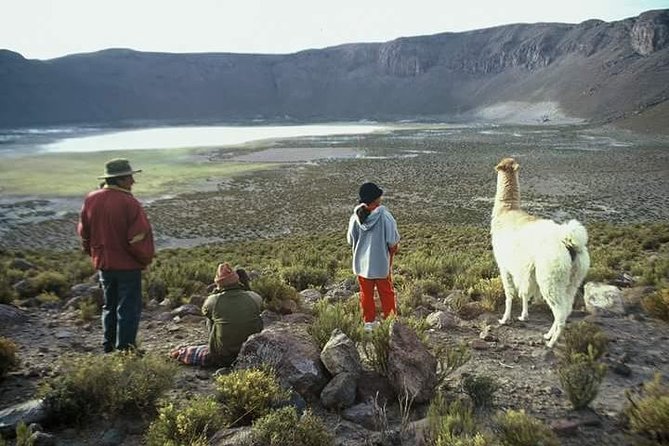 6 Days Private Best of Bolivia Tour From La Paz With Flights VIP - Pickup and Transportation
