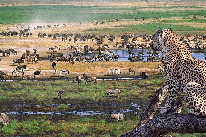 6 Days Private Camping Safari Serengeti, Ngorongoro, Lake Manyara and Tarangire - Ngorongoro Crater National Park