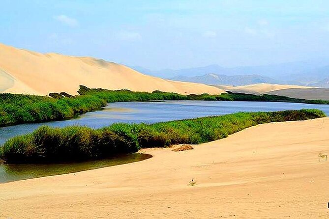 6-Hour Moron Lagoon Desert Guided Tour From Ica - Health and Safety Information