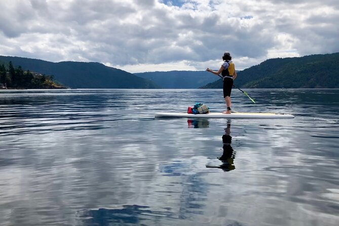 6 Hour SUP Finlayson Arm Fjord - Booking Information