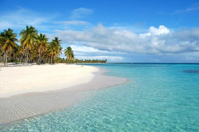 6 in 1 Full Day Isla Saona Tour and Snorkel in Natural Pool Mangroves Cap Cana - Snorkeling in Natural Pool Mangroves