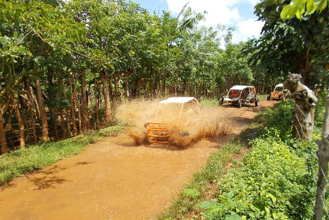 7-Day Adventure Tour in Punta Cana With Pickup - Meal Inclusions