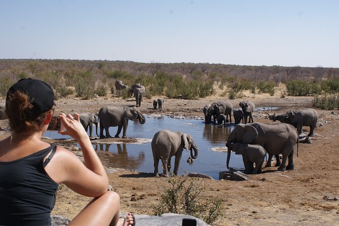 7 Day Taste of Namibia Lodging Safari - Encounter Wildlife at N/ankuse