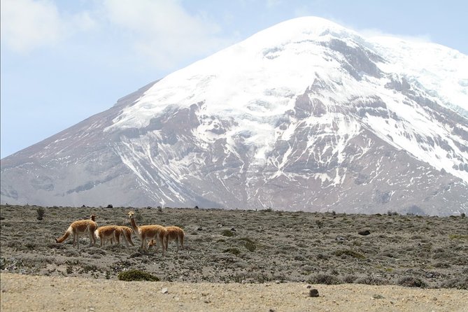 7 Days Cultural Experience Through the Andes - Hike Through the Stunning Cotopaxi Volcano