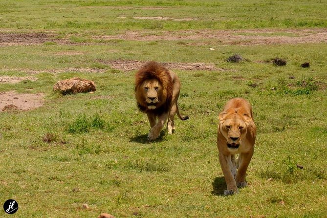 7 Days Maasai Mara - Lake Nakuru - Lake Naivasha - Amboseli Safari - Taking in Lake Naivashas Beauty