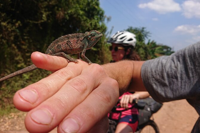 7 Hours Guided Cycling Tour to Sezibwa Waterfalls - Sezibwa Waterfalls