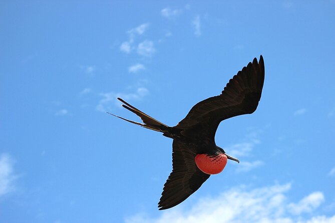 8 Day Galapagos Island Hopping - Island Hopping Experiences