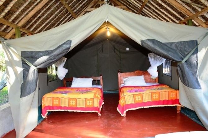 8-Day Kenya and Tanzania Private Lodging Safari From Nairobi - Daily Itinerary Highlights
