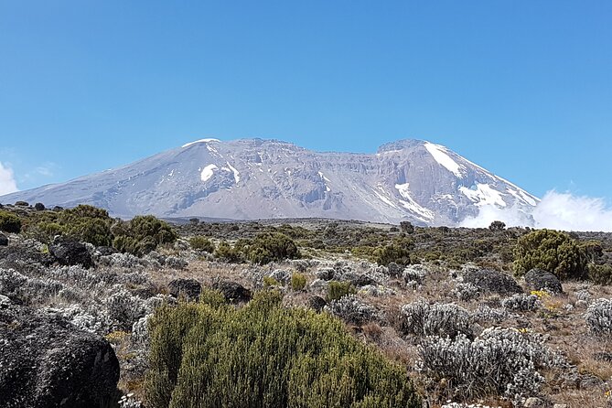 8 Day Kilimanjaro Lemosho Climb - Acclimatization and Altitude Considerations