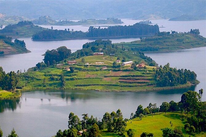 8-Day Murchison Falls, Chimp and Epic Gorilla Trekking - Wildlife Viewing Opportunities