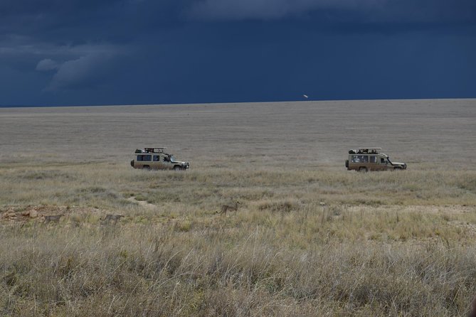 8 Day Private Wildebeest Migration Safari Serengeti Ngorongoro - Accommodations Provided