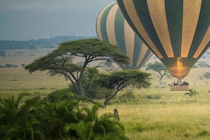 8-Day Tanzania Private Safari Tour With Airport Pickup - Accessibility