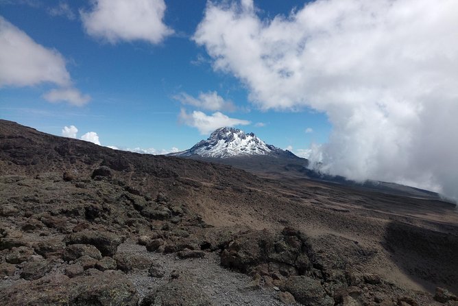 8 Days Lemosho Route Climbing Mt. Kilimanjaro - Ascent Through Lush Forests