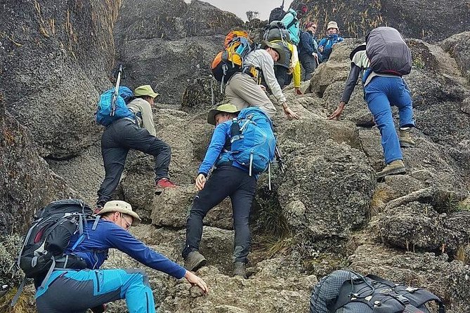 8 Days Lemosho Route Climbing - Inclusions and Costs