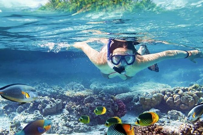 8-Hour Private Yacht Charter Exclusive & Lunch Transfer -Hurghada - Recommended by Travelers