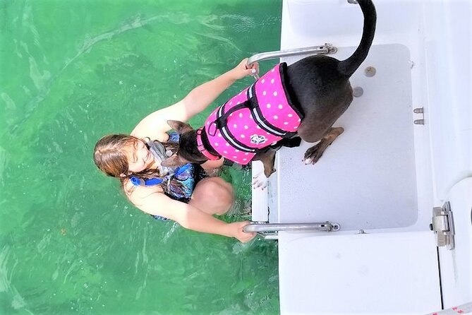 8-Hour Sailing Charter From Fort Lauderdale - Wildlife Viewing Opportunities