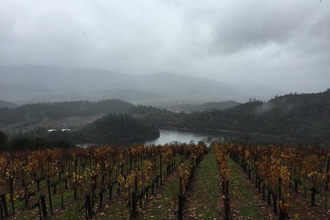 8-Hours Private SUV (up to 6 Passengers) San Francisco to Napa Valley Wine Tour - Inclusions and Exclusions