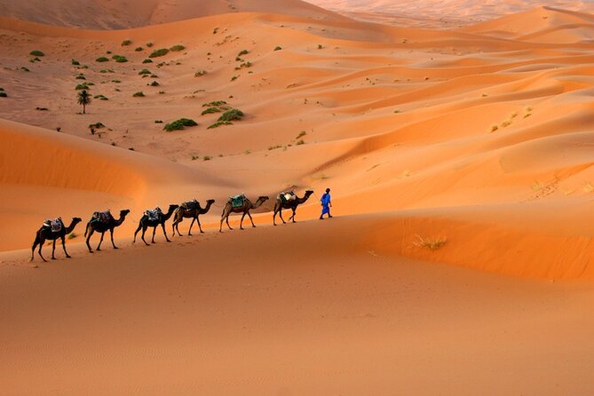 9 Days From Tangier Morocco - Included Activities and Experiences