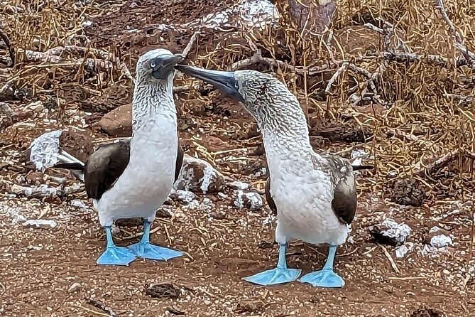 9 Days Galapagos Island Hopping - Visiting San Cristóbal Island