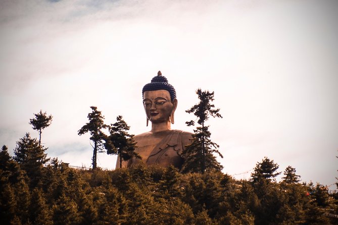 A Journey to the Center of Bhutan in 14 Days - Meals and Dietary Options