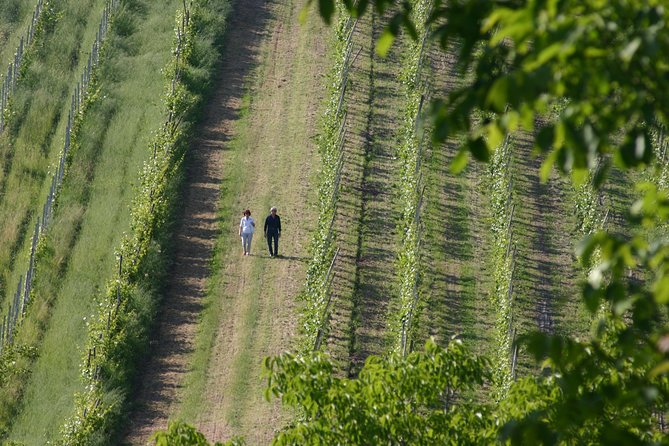 A Love and Wine Story in Parma Valley - Discovering the Lamoretti Winery