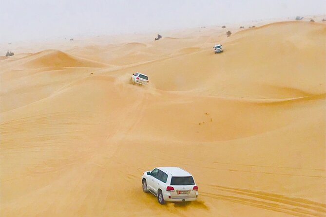 Abu Dhabi City Tour and Desert Safari - Exciting Safari Activities