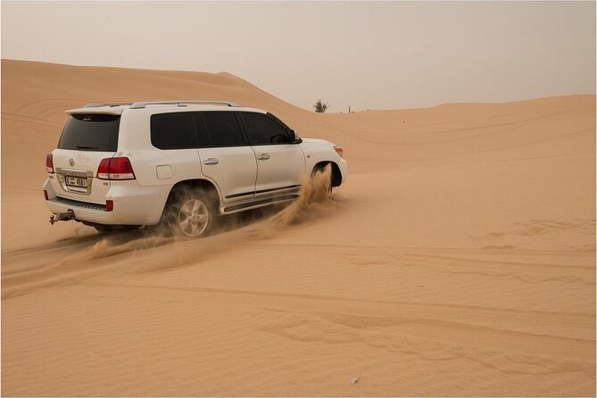 Abu Dhabi Morning Desert Safari - Private Car - Pricing Details