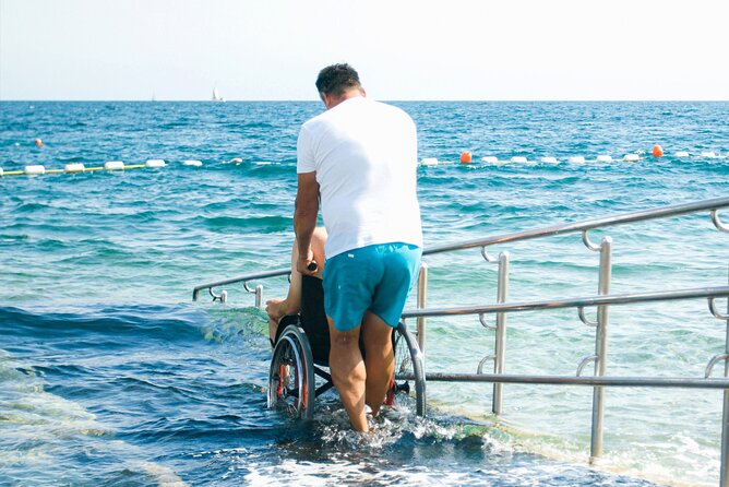 Accessible Tour In Athens, 3 Hours Athens Panorama Shore Excursion - Accessibility and Participation
