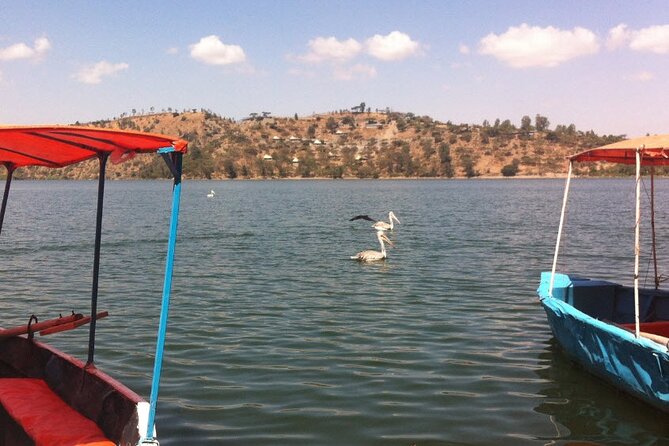 Addis Ababa Spa -Day Trip To Debre Ziet(Resort Towns) - Indulging in Culinary Delights