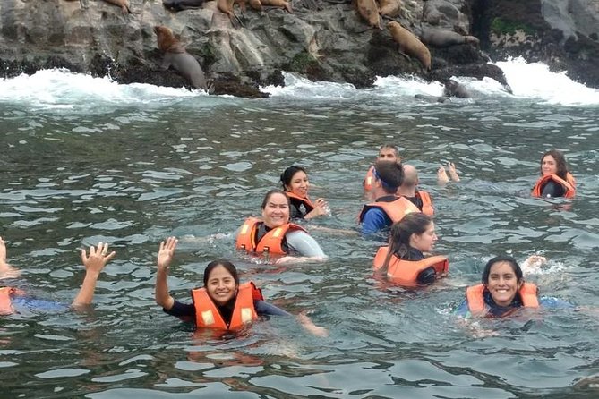 Adventure and Adrenaline, Swimming With SEA LIONS! & Visit the Peruvian Islands! - Preparing for the Experience