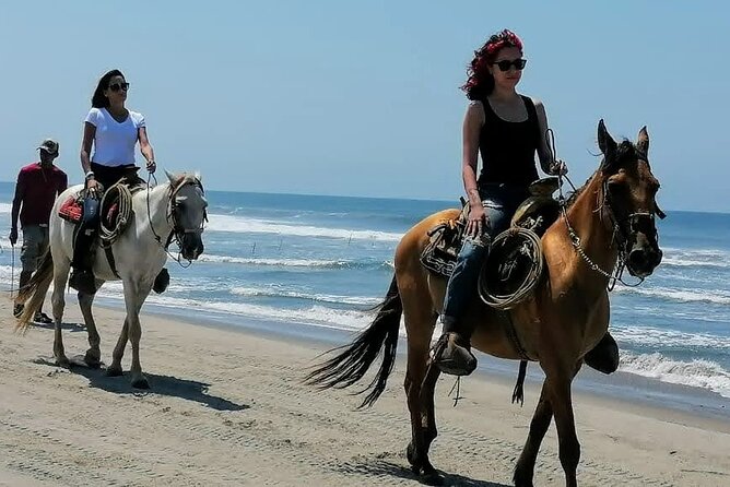 AfroMexican Village Experience-Horseback Ride-Turtle Hatch &Crocs - Health and Accessibility Information