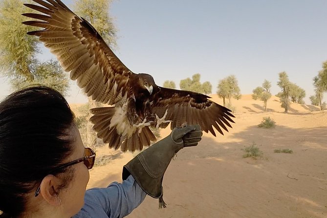 Afternoon Dubai Falconry Safari - Exploring the Emirates Wildlife