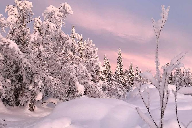 Afternoon Snowmobile Tour - Snowmobile Capabilities and Safety