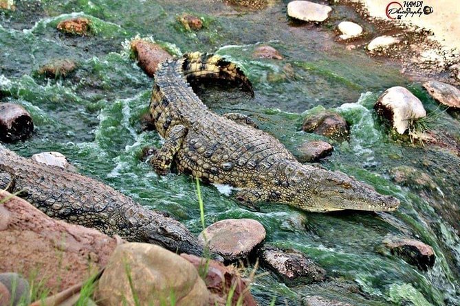 Agadir Croco Park Transfer & Admission Ticket - Booking Policy and Confirmation