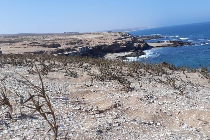 Agadir Day Excursion to Mini Sahara Safari National Park Souss Massa by 4x4 - Highlights of the Itinerary