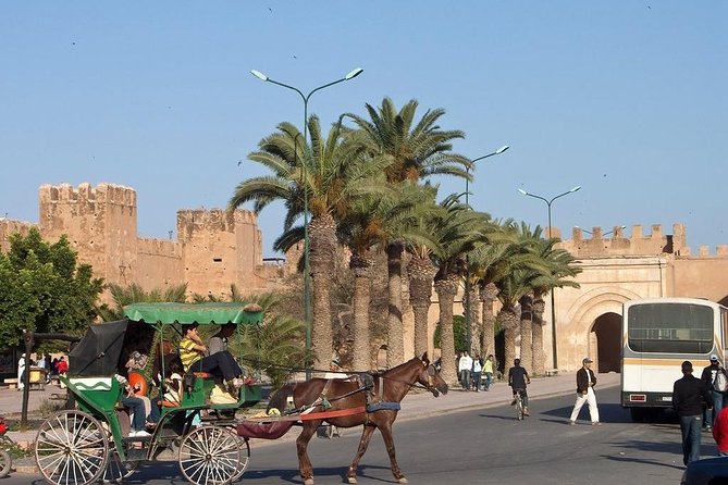 Agadir Morocco: Day Trip to Taroudant & Tiout Oasis With Lunch - Accessibility Features