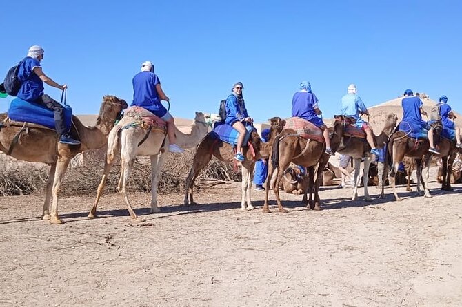Agafay Desert Day Trip - Pickup Information and Timing