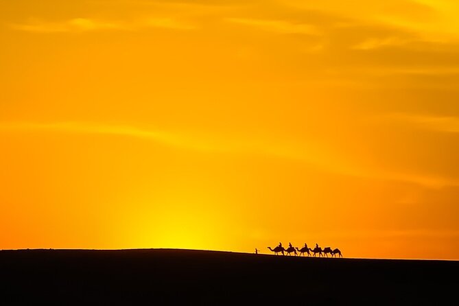Agafay Desert Package, Quad Bike, Camel Ride and Dinner Show - Memorable Camel Ride