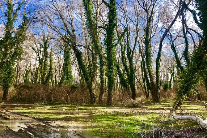 Albania Birdwatching, Kayaking, Bicycle National Park Divjaka Karavasta(ARG) - Participation Requirements