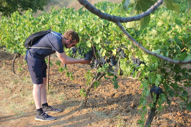 Albanian Highlights - UNESCO Sites ,Nature and Food Tour - Immersive Cultural Experiences