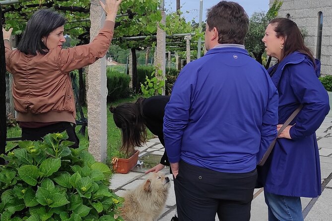 Albariño Private Wine Tour in Rias Baixas Review - Customization and Flexibility