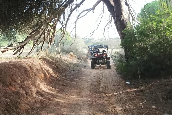Albufeira 1 Hour Off-Road Tour Buggy Adventure Tour - Driver Requirements