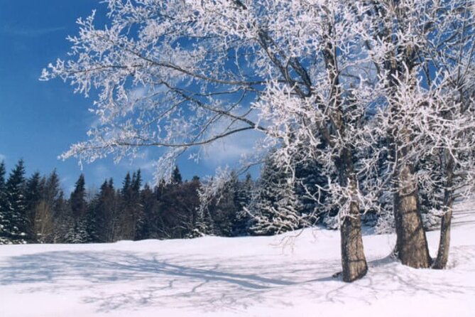 Albuquerque Snowshoe Experience - Schedule and Participation