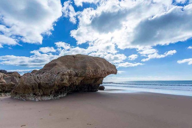 Algarve Coastline & Beaches - Private Tour - Additional Information