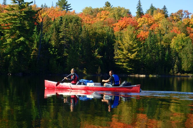Algonquin Park 4-Day Luxury Moose/Beaver/Turtle Camping & Canoeing Adventure - Accommodation and Amenities