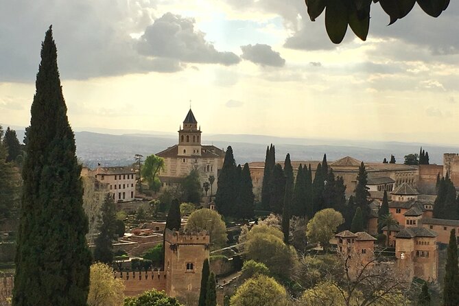 Alhambra Private Tour From Port of Motril Review - Meeting and Pickup Location